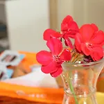 Hostel Basilicata Al Volo *